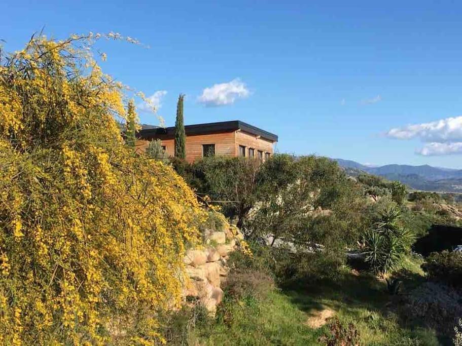 Casa Turrigiani Villa แซโกน ภายนอก รูปภาพ